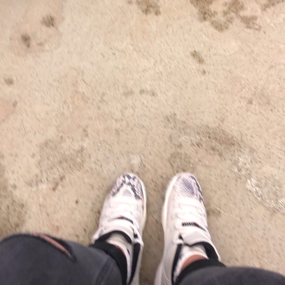 Meet your Posher, Yasmine - Picture 1 of 1